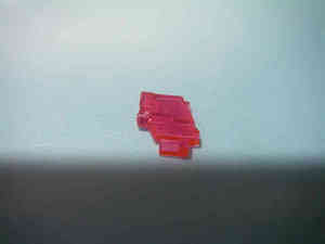 resize0053.jpg