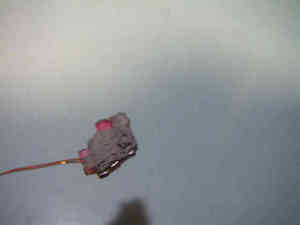 resize0057.jpg