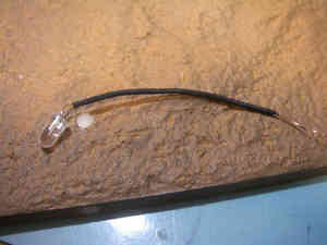 resize0429.jpg