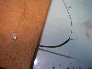 resize0430.jpg